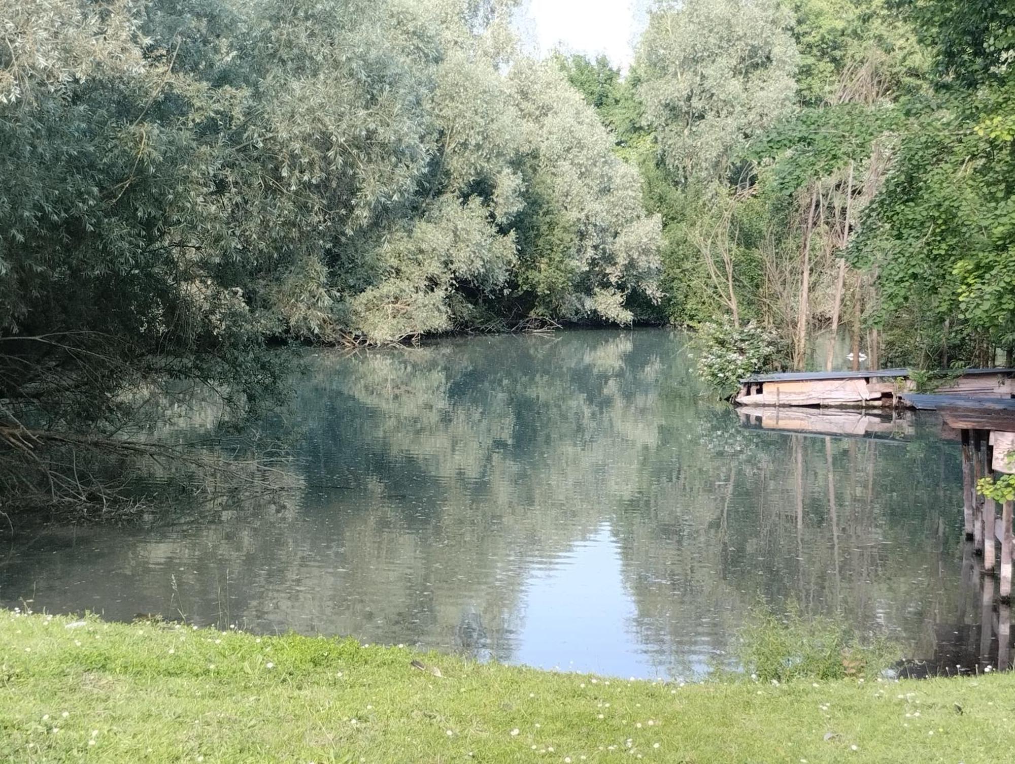 Haras De La Ressee Agnez-les-Duisans Bagian luar foto